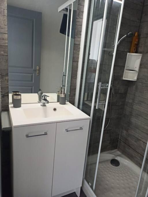 Superbe Appt Avec Cour Et Parking Gratuit A 5Min De La Cite Medievale Carcasona Exterior foto